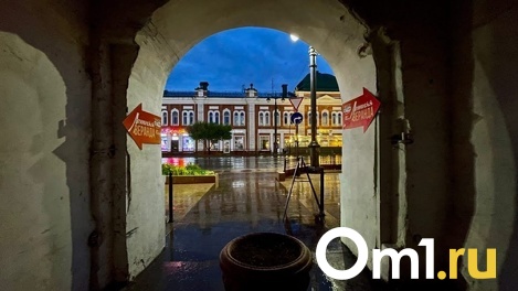 В День города в Омске молодой парень жестоко избил незнакомца