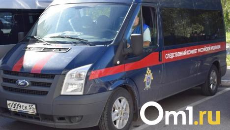 Бастрыкин поручил возобновить расследование по делу омской сироты