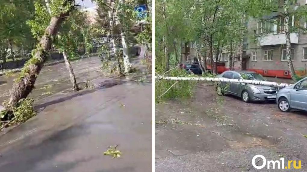 Утонули машины, рухнули крыши: показываем последствия жуткого шторма в Новосибирске