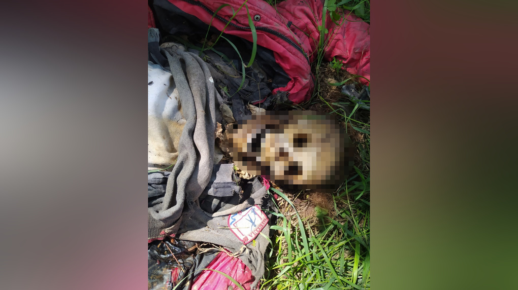 Труп пролежал два года: разложившееся женское тело нашли в Новосибирской области