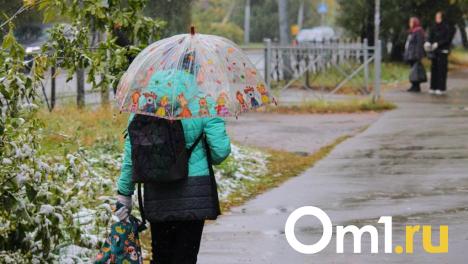 Из дома лучше не выходить: на Омск надвигается непогода