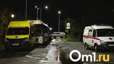 В Омской области трёхлетняя девочка попала под колёса минивэна