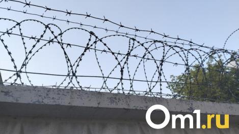 В Новосибирской области задержали курьера с 13 килограммами «соли»