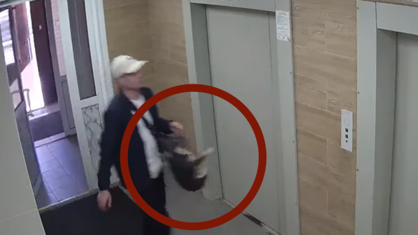 В Новосибирске задержали мужчину, избившего щенка своей возлюбленной