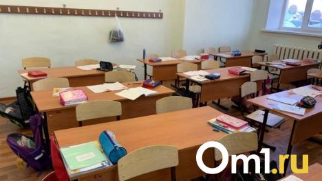 В Омске из-за нехватки учителей пришлось расформировать класс
