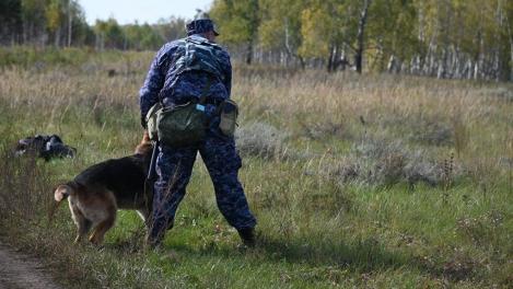 Начальник кинологической службы в Новосибирске брал взятки: приговор суда
