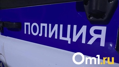 Омского водителя, который сбил пешехода и сбежал, поймали