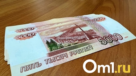 На развитие парка в центре Называевска Омская область дополнительно получит 80 миллионов рублей