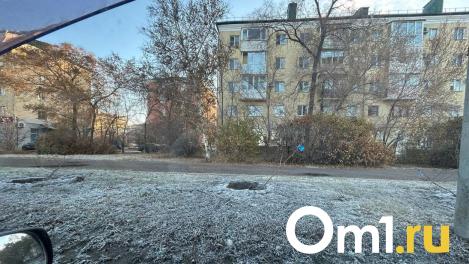 На Иртышской набережной высадят новые деревья