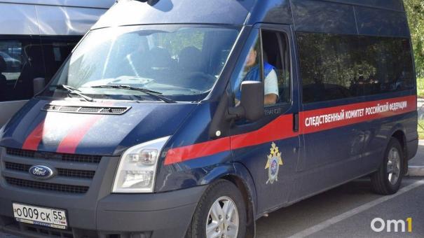 Бастрыкин потребовал возбудить дело из-за мигрантов, которые угрожают семье новосибирцев