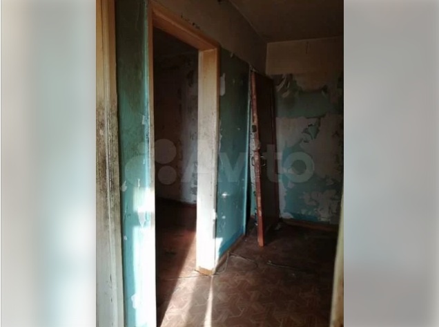 По «приятной цене» в Омске продают плесневелую двухкомнатную квартиру с грибком. ФОТО