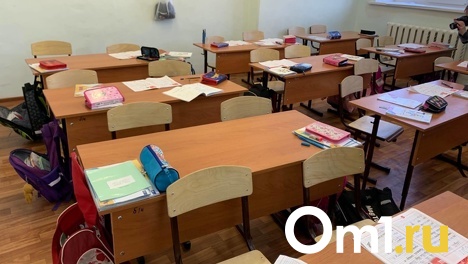 Вирусолог заявил о вынужденном введении дистанционного обучения из-за коронавируса