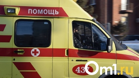 Двое погибли, ребёнок в больнице. Под Омском внедорожник влетел в лоб «двенашки»