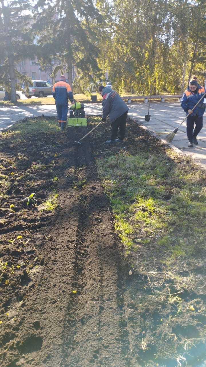 Омск покидают краски: городские клумбы очищают от цветов (Фото)