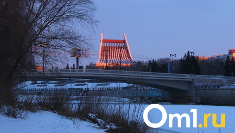 Опять минус 25: в последнюю неделю года в Омске ожидается похолодание
