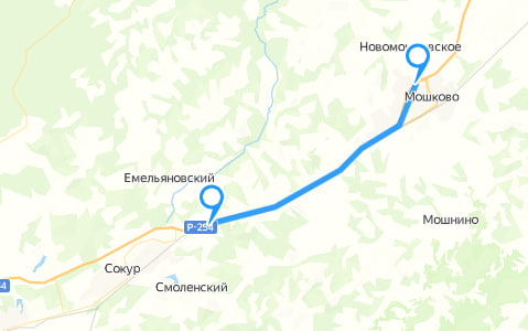 Две федеральные трассы под Новосибирском расширят до четырёх полос