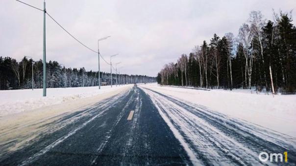 «К себе не подпускает». Сова вышла на трассу в Омской области