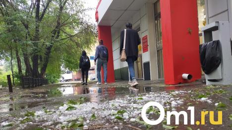 Жара в Омске сменится проливным дождём и сильным ветром до 25 м/с