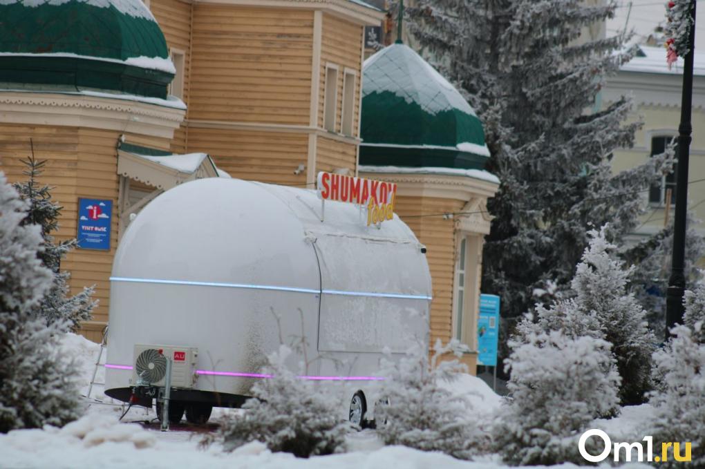 Мастер-класс по глинтвейну, экскурсии, лабиринт: что ждёт омичей на «Зимнем Любинском»?