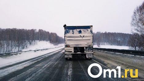 Под Омском КамАЗ с прицепом задавил человека и скрылся