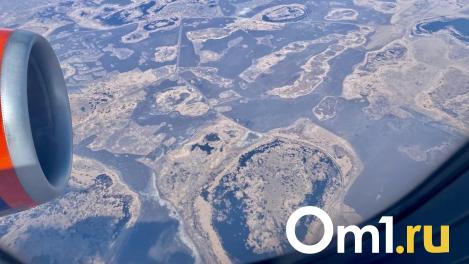 Самолёт, летевший в Омск, сделал вынужденную посадку в Новосибирске