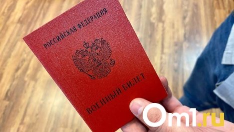 Эксперты из Новосибирска рассказали о последствиях уклонения от электронной повестки