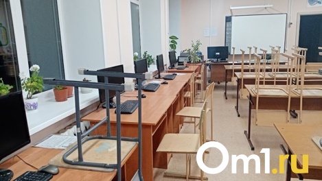 Дистант продлят до лета в Новосибирске? Комментарий властей
