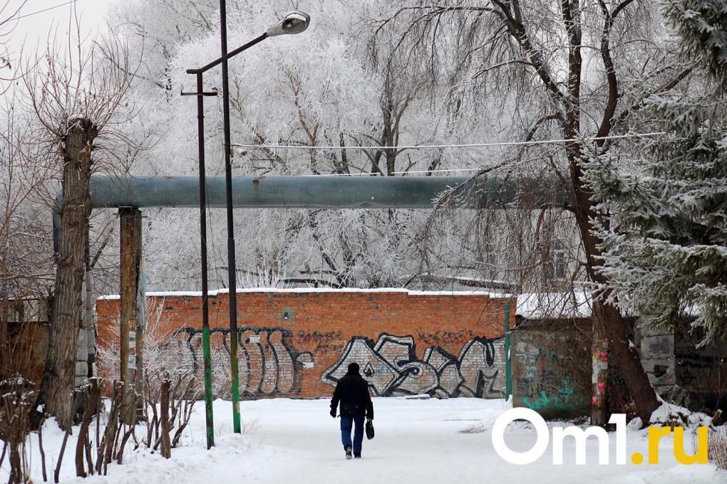 Иней превратил Омск в зимнюю сказку: посмотрите, как красиво