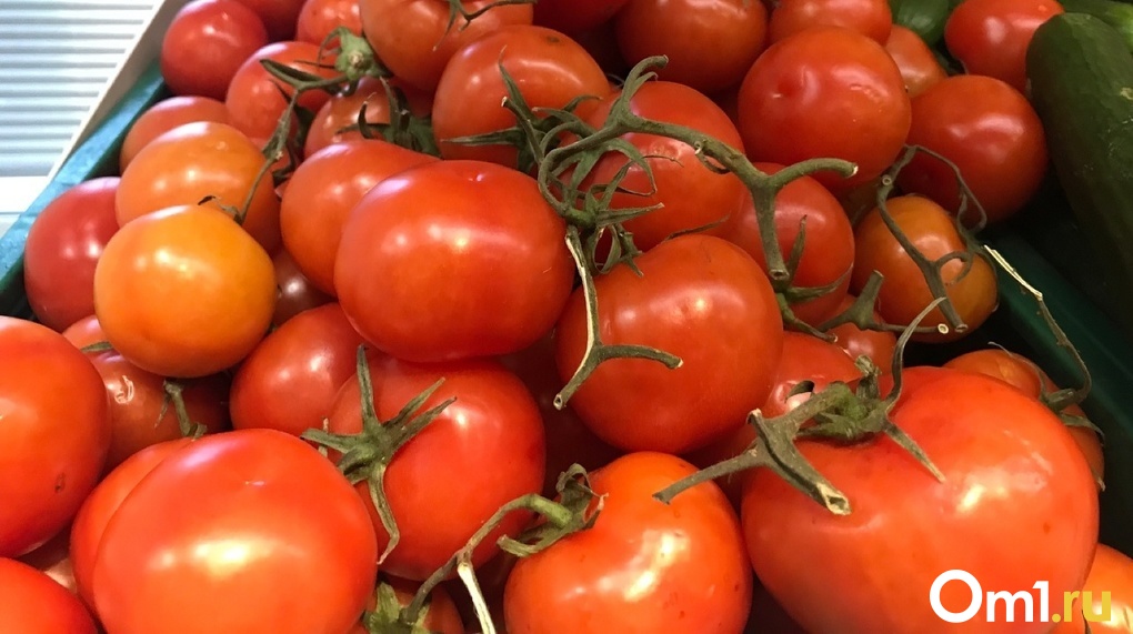 Какие семена на рассаду посадить в феврале, рассказала новосибирский агроном Людмила Шубина