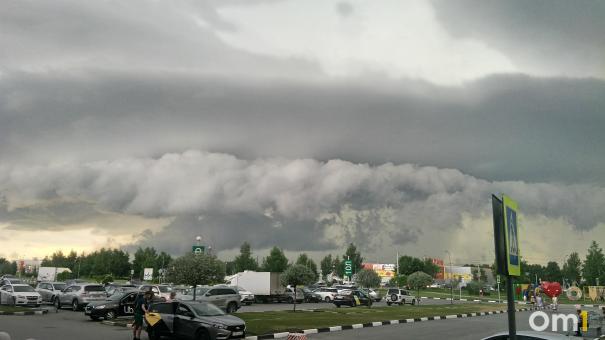 Мэрия предупреждает омичей об опасном ветре