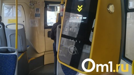 Минтранс Новосибирской области закрыл маршрут №327 «Бердск — Чемской бор»