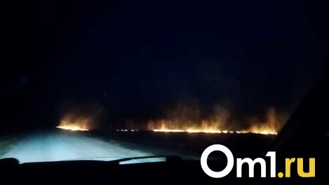 «Лоси выбегали из леса»: крупный природный пожар заметили очевидцы в Новосибирской области. ВИДЕО