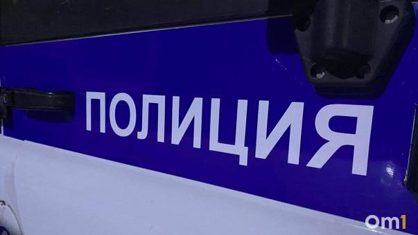 В Омске на Ленина произошла драка, в ходе которой прохожий потерял сознание