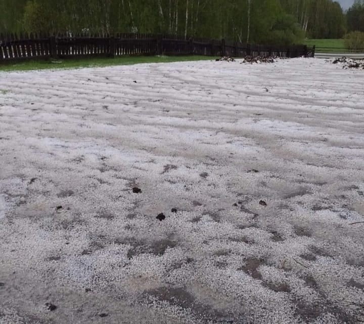 Сильный град прошёл на севере Омской области. ФОТО