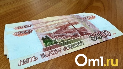 Ни денег, ни платья. Омичка пыталась заказать дочери костюм для танцев, но лишилась всех денег