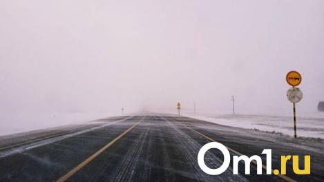 Погода штормит Новосибирск: от заморозков до дождей за сутки