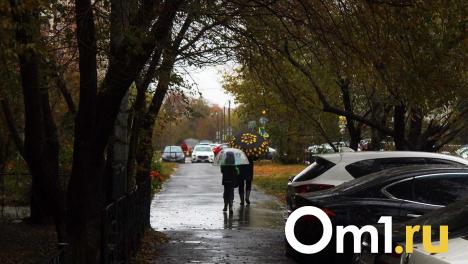 Лето встретит омичей дождём и туманом
