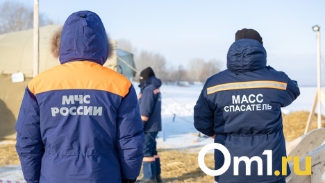 В Новосибирске спасатели нашли тела двух мёртвых мужчин