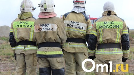 Омские пожарные выезжали на ложные вызовы 135 раз за неделю