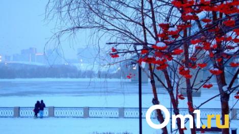 Аномальные морозы до -45 °С ожидают новосибирцев в конце ноября