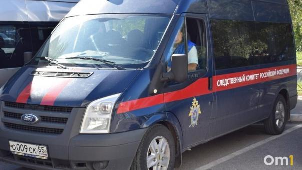 Следователи возбудили уголовное дело по факту исчезновения 19-летней омички