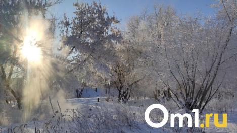 Аномальные морозы до -40 градусов ждут жителей Новосибирской области