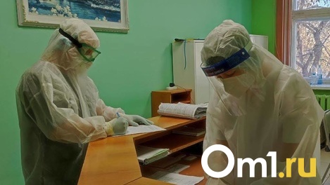Новосибирская область готова к вспышке оспы обезьян