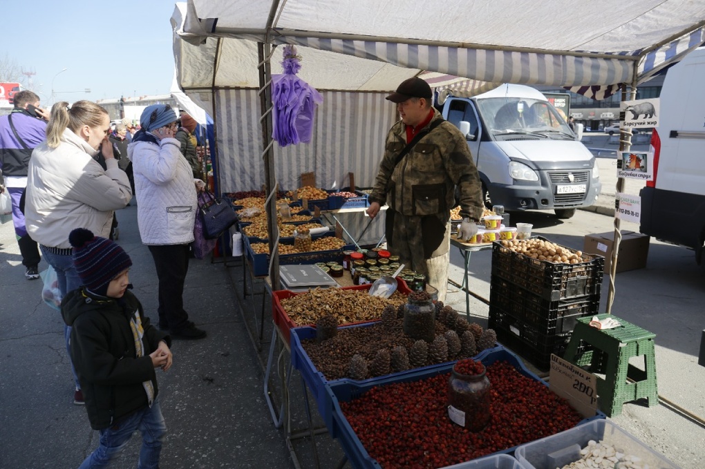 В пяти районах Новосибирска организовали 11 универсальных и садоводческих ярмарок: адреса