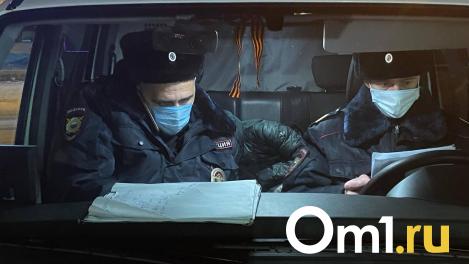 В Омске водитель автомобиля Honda насмерть сбил пешехода и отказался от освидетельствования