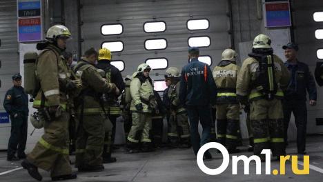 Сезон лесных пожаров начался в Новосибирской области