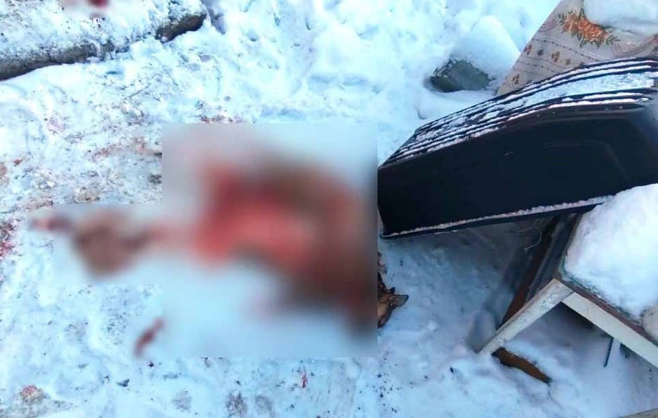 В Омске мужчина жестоко убил и съел бездомную собаку