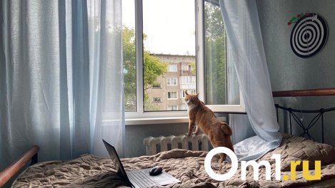 Перепад почти в 20 градусов: в Новосибирске 10 июня похолодало до +21 и пошли дожди