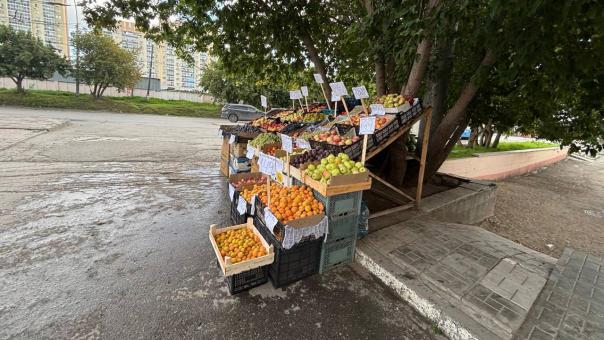 405 кг овощей изъяли в Новосибирске: здесь прошел рейд против уличной торговли