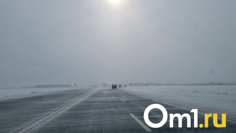 Омичи вновь смогут выезжать в Казахстан. Границу открыли для всех